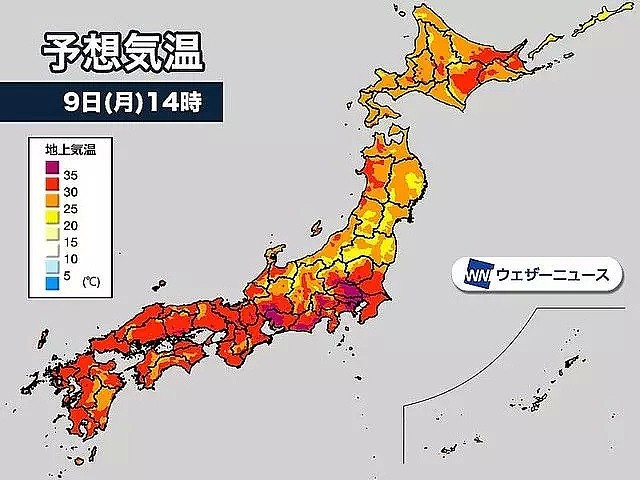 昨夜的一场超级台风，又把日本人素质吹的“暴露无遗”了...（组图） - 42