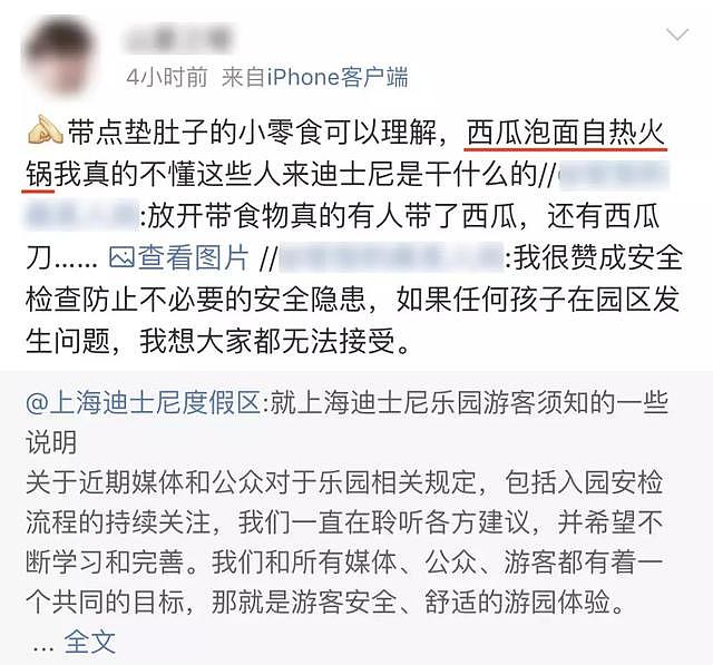 上海迪士尼刚允许自带食物，就有人带了一整只大西瓜？网友：请带上自己的素质