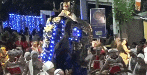 恐怖！万人狂欢节上 一头大象突然暴走 疯狂踩踏民众 18人重伤！（视频/组图） - 1