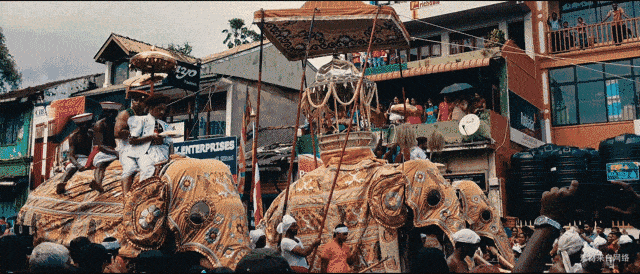 恐怖！万人狂欢节上 一头大象突然暴走 疯狂踩踏民众 18人重伤！（视频/组图） - 7