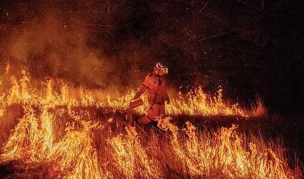 澳洲“地狱级”山火失控! 80起火灾, 数千人无家可归, 消防员逆行而上! 最后一幕让人泪目!（组图） - 5