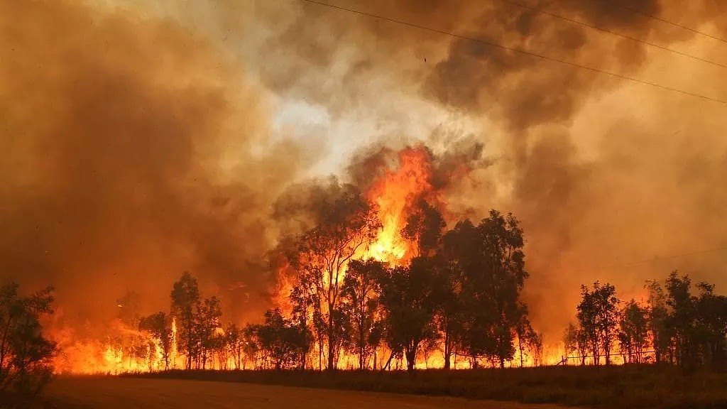澳洲“地狱级”山火失控! 80起火灾, 数千人无家可归, 消防员逆行而上! 最后一幕让人泪目!（组图） - 20
