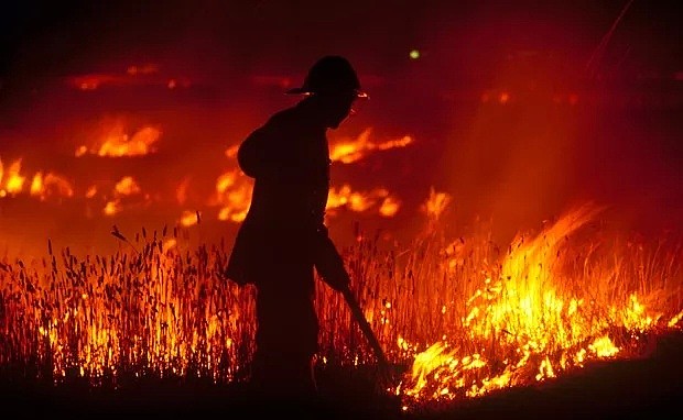 澳洲“地狱级”山火失控! 80起火灾, 数千人无家可归, 消防员逆行而上! 最后一幕让人泪目!（组图） - 21