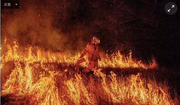 澳洲“地狱级”山火失控! 80起火灾, 数千人无家可归, 消防员逆行而上! 最后一幕让人泪目!（组图） - 48