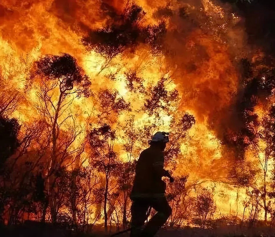 澳洲“地狱级”山火失控! 80起火灾, 数千人无家可归, 消防员逆行而上! 最后一幕让人泪目!（组图） - 52