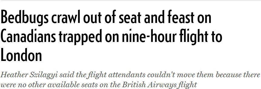 恐怖！飞机座椅爬满臭虫，女乘客胆战心惊渡过9小时，下机发现被咬惨（组图） - 2