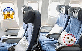 恐怖！飞机座椅爬满臭虫，女乘客胆战心惊渡过9小时，下机发现被咬惨（组图） - 7
