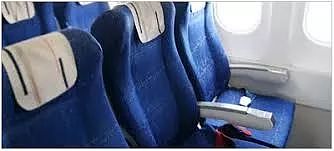 恐怖！飞机座椅爬满臭虫，女乘客胆战心惊渡过9小时，下机发现被咬惨（组图） - 10