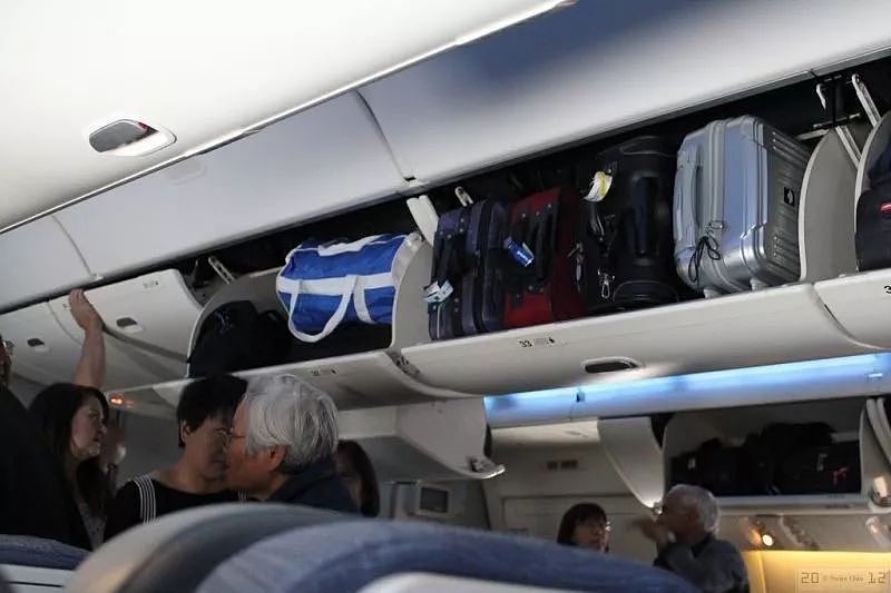 恐怖！飞机座椅爬满臭虫，女乘客胆战心惊渡过9小时，下机发现被咬惨（组图） - 28