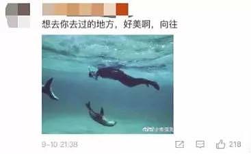 黄晓明再度当选南澳旅游大使！澳媒：“他是中国的布拉德皮特，自带流量！”（组图） - 19