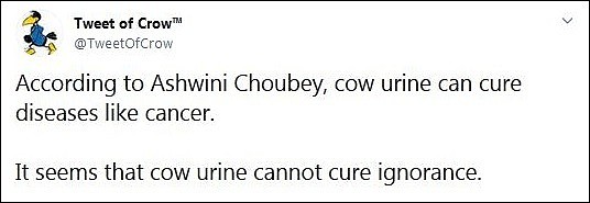印度卫生部长：牛尿可制药治癌症 前总理也喝过（视频/组图） - 5