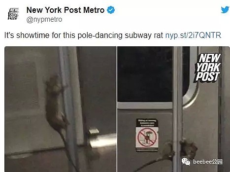 老鼠、粪便、垃圾、出轨...纽约地铁到底有多烂？（组图） - 13