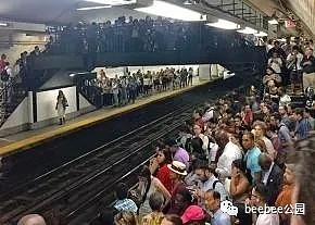 老鼠、粪便、垃圾、出轨...纽约地铁到底有多烂？（组图） - 19
