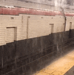老鼠、粪便、垃圾、出轨...纽约地铁到底有多烂？（组图） - 23