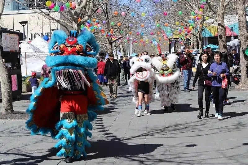 堪培拉的春天到了，正确的打开方式是什么样的呢？ - 41