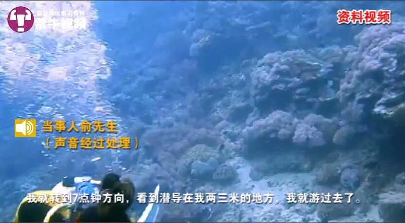 中国游客潜行到水下15米后，气瓶遭人恶意关闭！事后道歉称“开玩笑”（组图） - 2