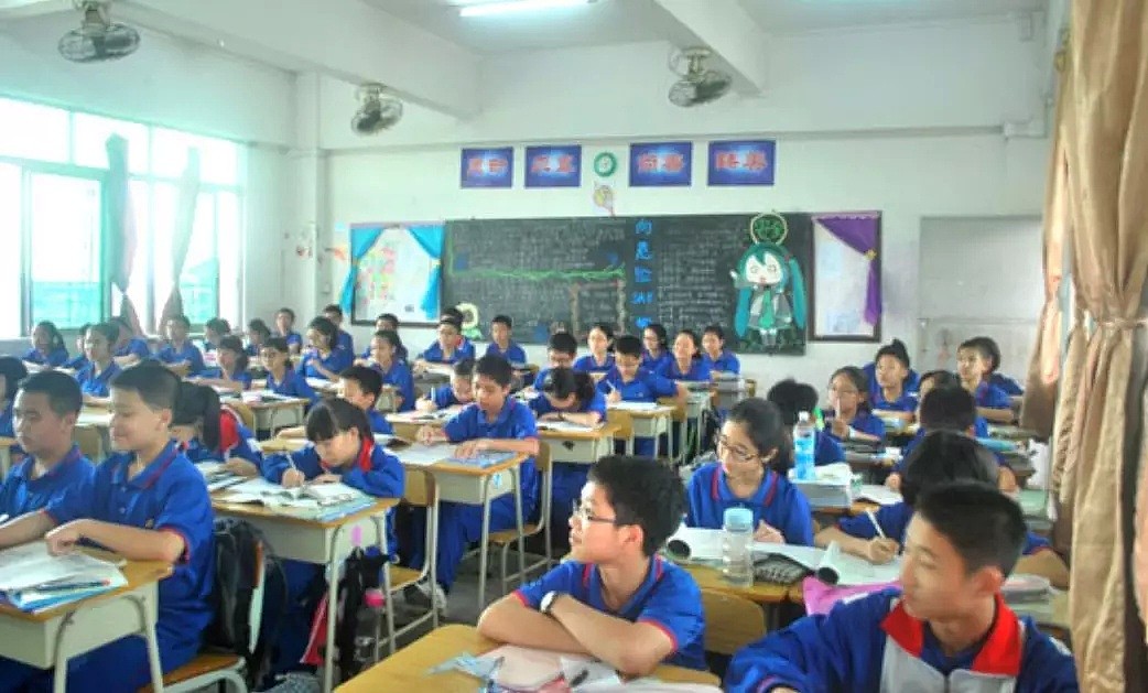 教育数据公布，澳洲老师最多带20名学生，中国老师和学生哭了... - 1
