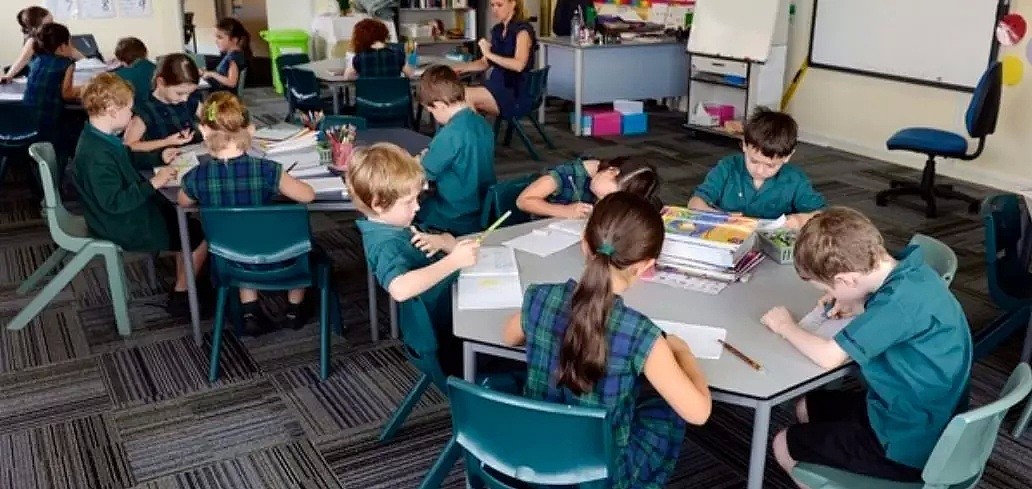 教育数据公布，澳洲老师最多带20名学生，中国老师和学生哭了... - 4