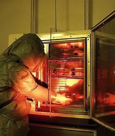 生化危机? 俄罗斯实验室爆炸 大量致命病毒恐外泄（组图） - 5