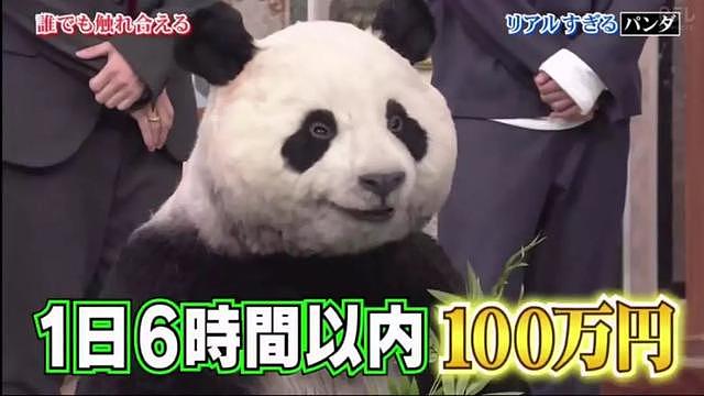 日本推出仿真熊猫，在家撸胖达不是梦？然而看到价格实力劝退……