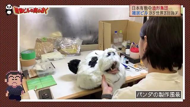 日本推出仿真熊猫，在家撸胖达不是梦？然而看到价格实力劝退……