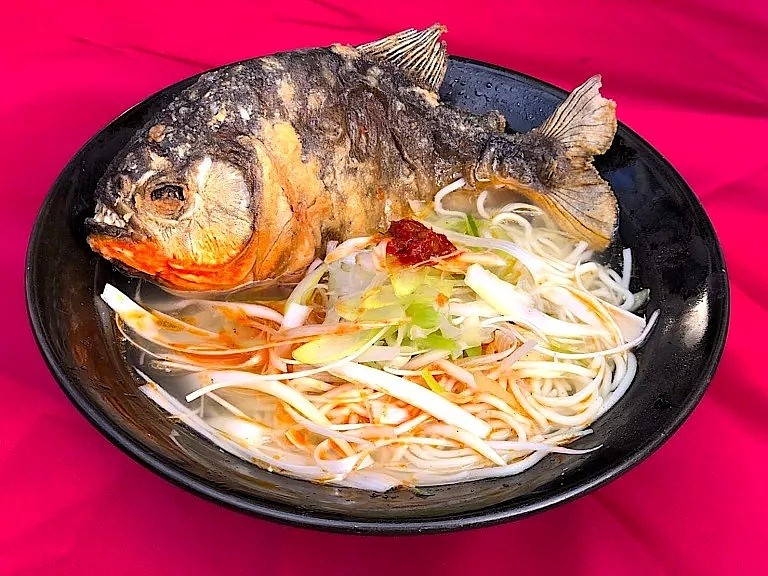 可怕的亚马逊食人鱼被日本人做成了菜... 食人鱼：我也有今天啊！（组图） - 12
