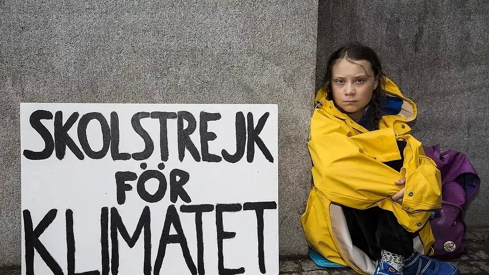 16岁瑞典少女罢课抗议，一面获赞誉无数，但也被网友们嗤之以鼻...（组图） - 5