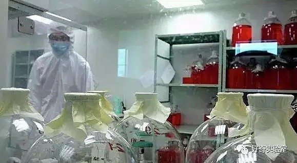最后的天花病毒该销毁还是保存？ 俄罗斯实验室爆炸起火再引发争议（组图） - 2
