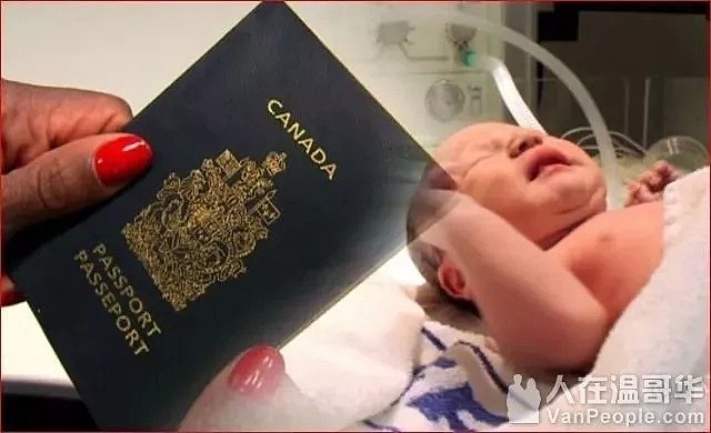 加拿大医院崩溃了！求求你们别来了，全是双非婴！98%的婴儿都来自中国！（组图） - 6