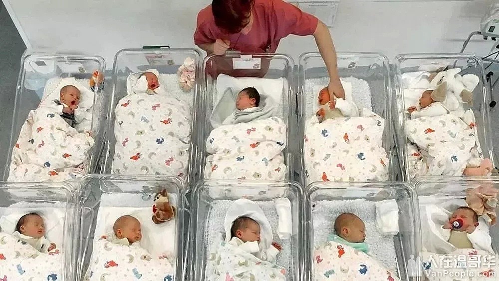 加拿大医院崩溃了！求求你们别来了，全是双非婴！98%的婴儿都来自中国！（组图） - 11