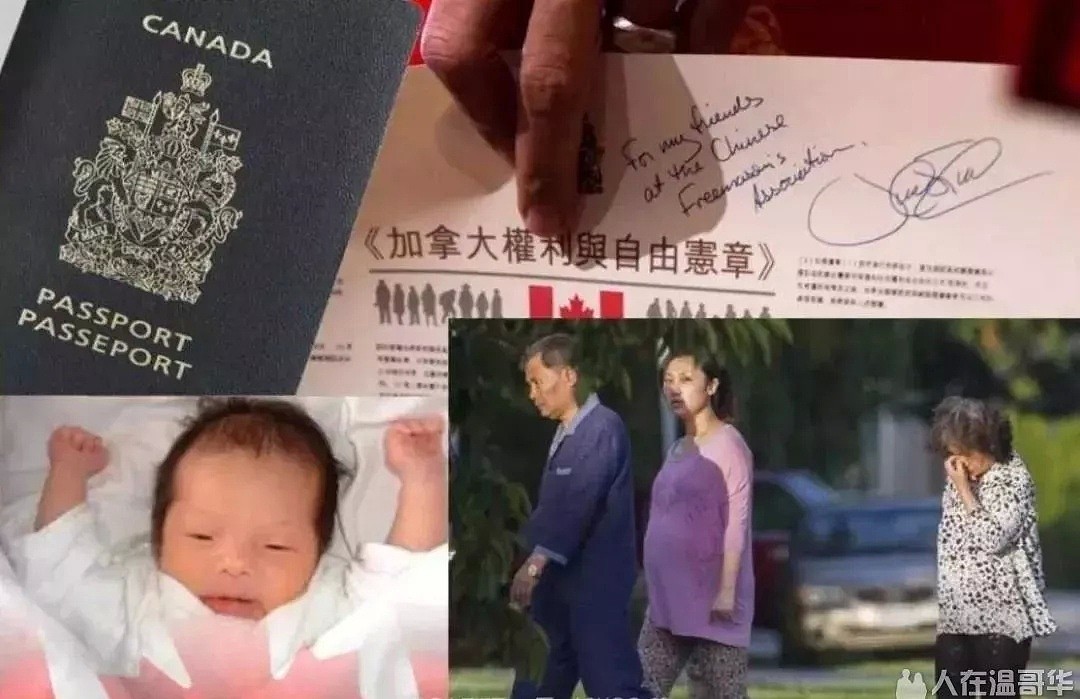 加拿大医院崩溃了！求求你们别来了，全是双非婴！98%的婴儿都来自中国！（组图） - 14