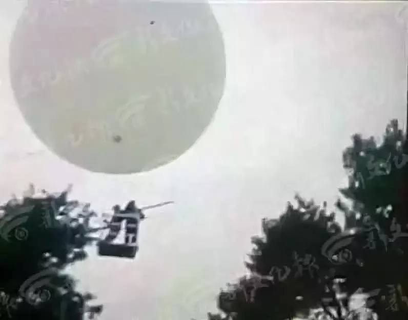 真上天了！俩农民坐氢气球打松籽，结果越飘越远…（视频/组图） - 4