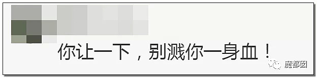 笑到吐！哈哈哈！爆红全网的历届中国弱智高能名场面合集！（视频/组图） - 63