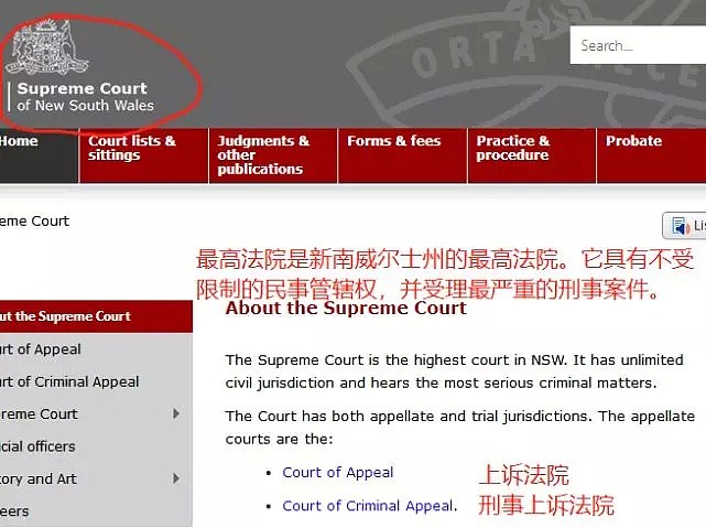 高云翔案时隔8个月重大进展，将在悉尼最高法院临时开庭，疑提起上诉！（组图） - 6