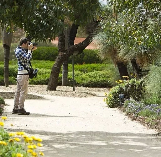春天来啦！一起去探索那些隐藏在墨尔本的秘密花园吧！踏青，野餐，摄影的绝佳场所！ - 5