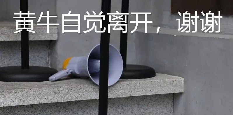 周杰伦MV同款奶茶店上海开张，出了一个奇招，黄牛都哭了……（组图） - 13