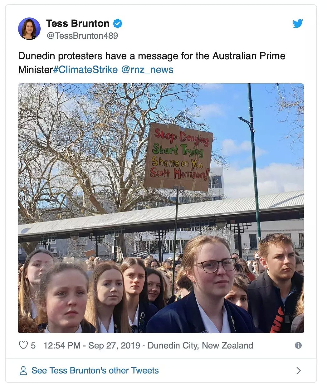 罢工罢课，交通瘫痪！今天新西兰17万人冲上街头，这场席卷全球的运动，背后是16岁自闭症女孩（组图） - 20