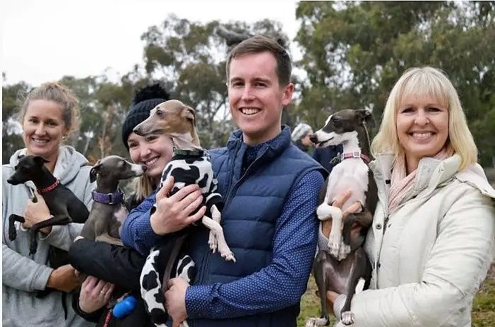 新法案：养狗不遛狗，主人将面临监禁和巨额罚款，澳洲成为“动物福利国家领头人” - 3