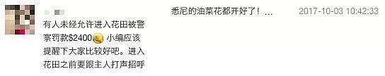 最近，澳洲真的太“黄”了…刷爆华人朋友圈的第一波春色，现在出发正好！ - 75