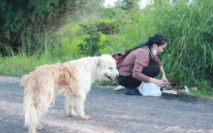 忠犬被迫流浪4年，终于再见主人后它却转身离去，背后真相让人泪目…（组图） - 13