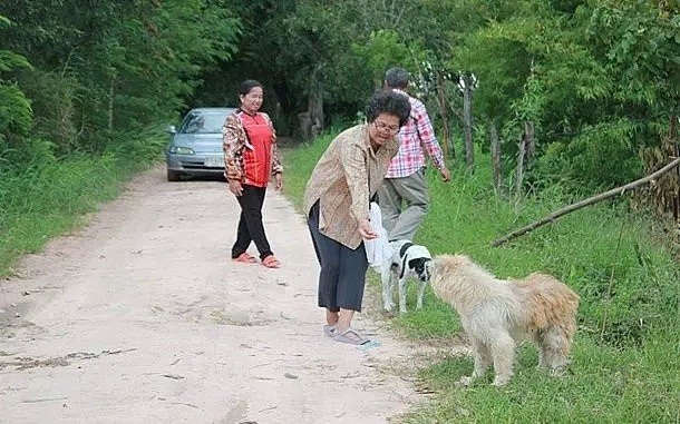 忠犬被迫流浪4年，终于再见主人后它却转身离去，背后真相让人泪目…（组图） - 14