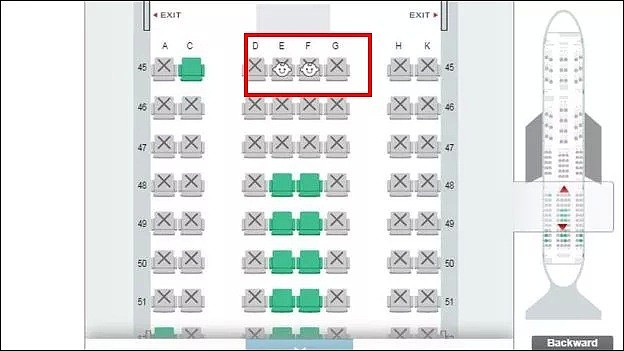 不用忍受熊孩子哭闹声了！航司推出避开婴儿选座服务（组图） - 4