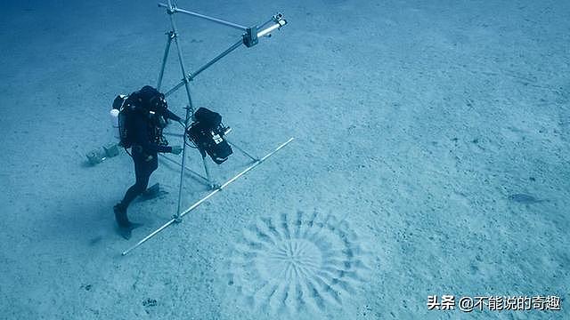 二十多年，科学家终于解开了这些海底“神秘圆圈”的谜底