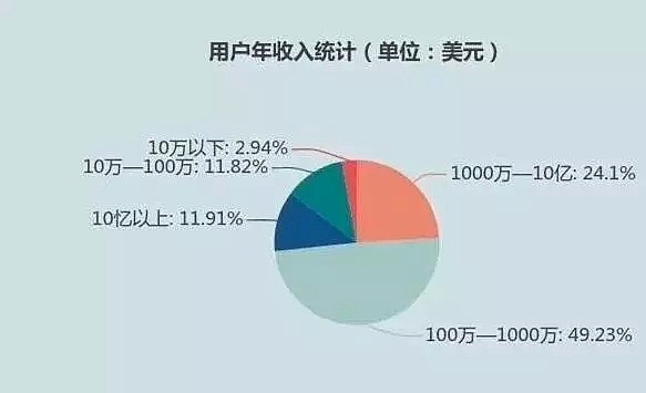 穷人都不上网？中国网民，地球上收入最高的群体（组图） - 4