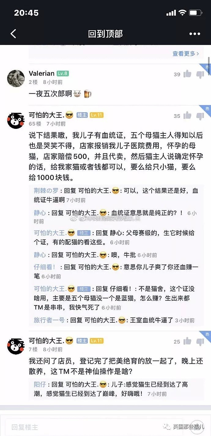 一晚啪了5只喵，累到在医院打点滴。这中国喵把英国人看傻了（组图） - 5