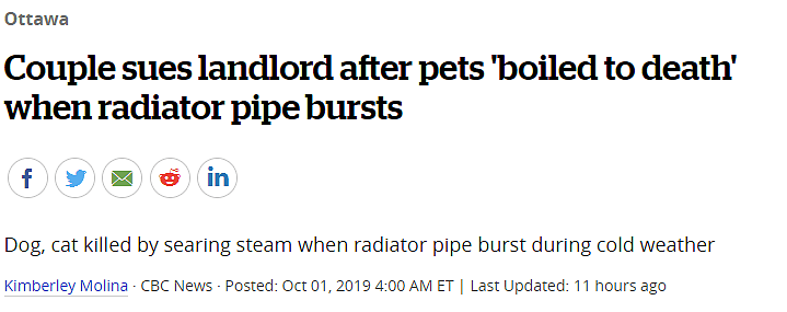 吓死！加拿大公寓暖气管破裂，宠物在家被活活“煮死”，无良房东竟然有脸索赔（组图） - 1