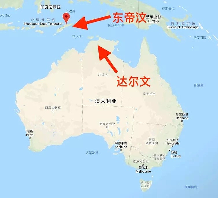 全体华人注意！因你的一时嘴馋，也许就会给澳洲酿成一场生态灾难！（组图） - 3