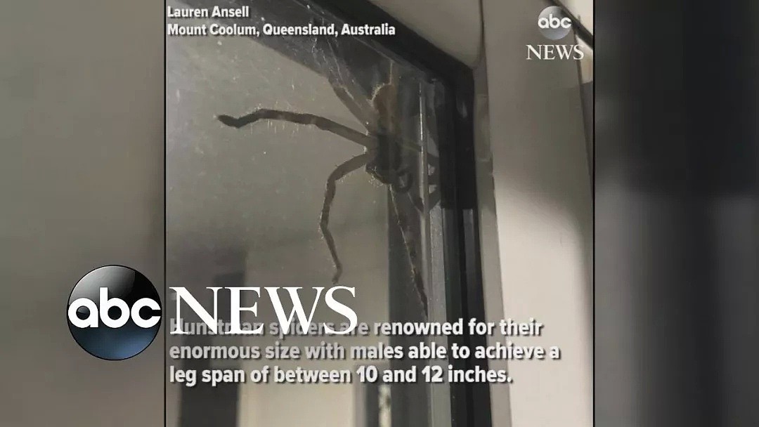 头皮发麻！昆州男子出门散步发现8米长蛇皮，在澳洲生活太难了（图片预警） - 2