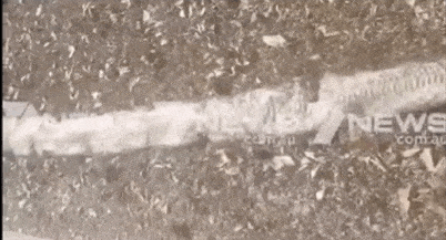 头皮发麻！昆州男子出门散步发现8米长蛇皮，在澳洲生活太难了（图片预警） - 9