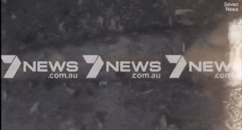 头皮发麻！昆州男子出门散步发现8米长蛇皮，在澳洲生活太难了（图片预警） - 11